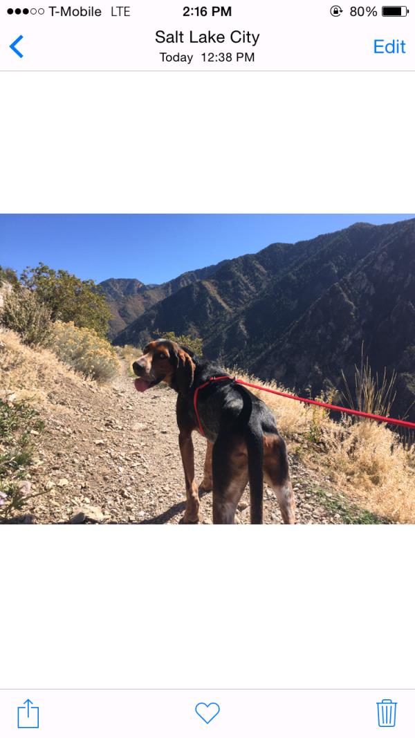 /Images/uploads/Humane Society of Utah/HSUCalendar/entries/1578thumb.jpg